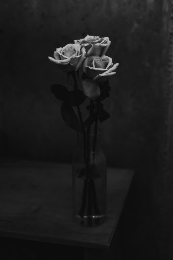 Unsplash ID l6yWsUvvnGo