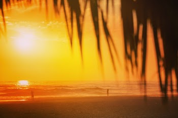 Unsplash ID L7BaKxTg-y8