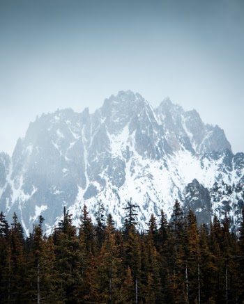 Unsplash ID l7eIDrTSAsM