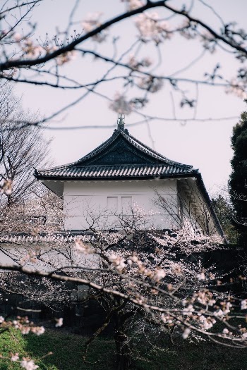 Unsplash ID laSgg3ueMbU