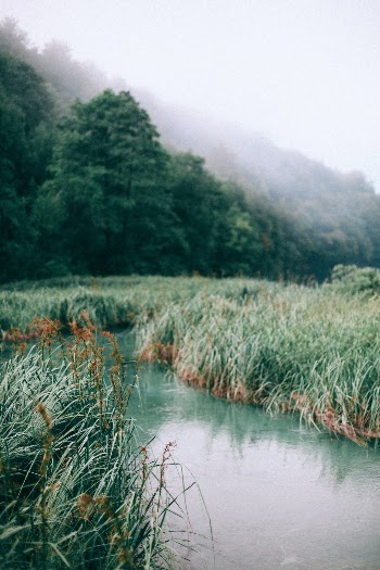 Unsplash ID lCOGsX6OGus