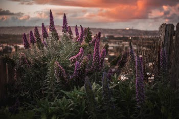 Unsplash ID lD0ZFsCUZc8