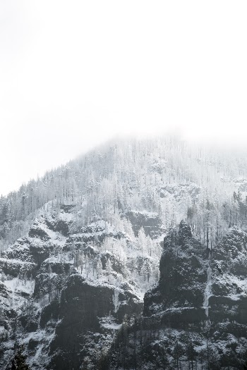 Unsplash ID LEP9cyPh3Pc