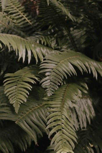 Unsplash ID LEw7TnNrIeg