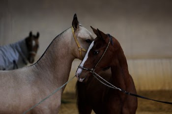 Unsplash ID lGPF8m5lyec