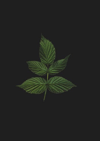 Unsplash ID lhPLeHgox9Q