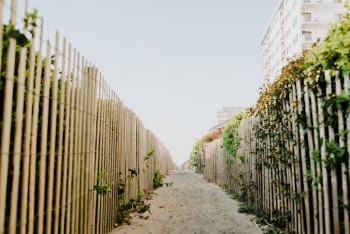 Unsplash ID LITaF1ZlU-g