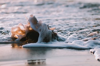 Unsplash ID LJ1B95FJbXA