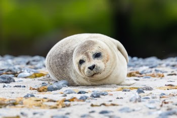 Unsplash ID LJlTSTDbfTc