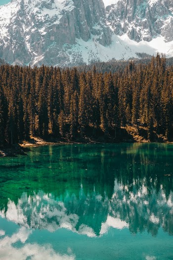 Unsplash ID ljTjUDYzPmY