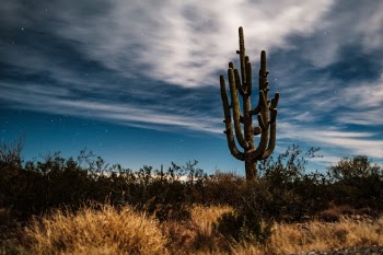 Unsplash ID lJWWZpL4Igw