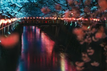 Unsplash ID LkBMeDarTBM