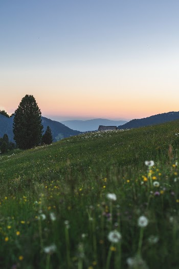 Unsplash ID llcDy6LOLoM