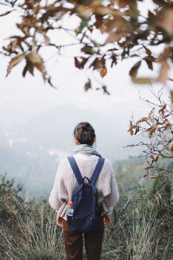 Unsplash ID LOE6B3aFrcM
