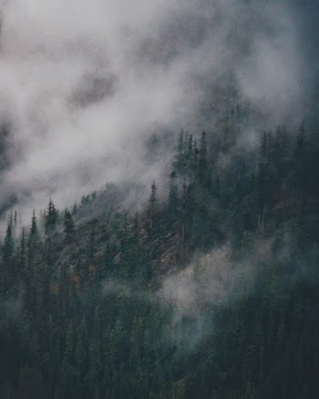 Unsplash ID LPwx5fHnkw4