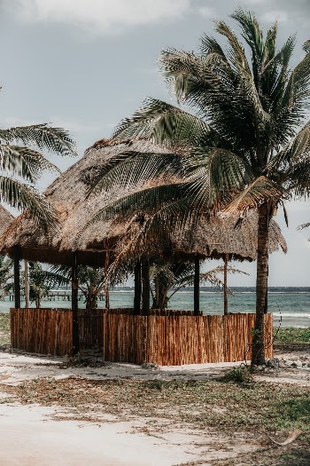 Unsplash ID LQn4W0owvtM