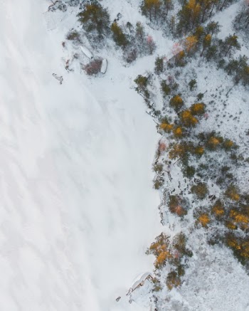 Unsplash ID LSJq2l01U_Y