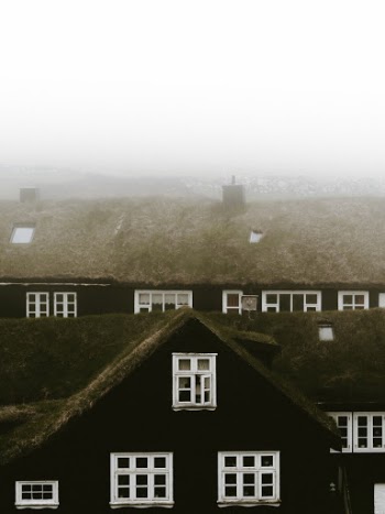 Unsplash ID LSPj8n-jMmk