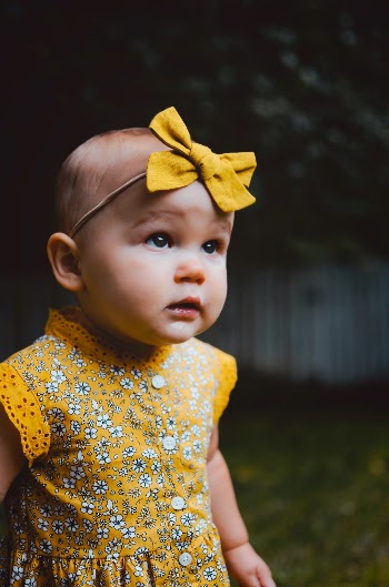 Unsplash ID luvoSGWkyX0