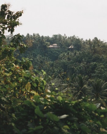 Unsplash ID lv4ItM28ffE