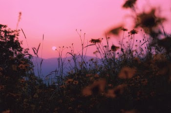 Unsplash ID Lvcm9B-8LAg