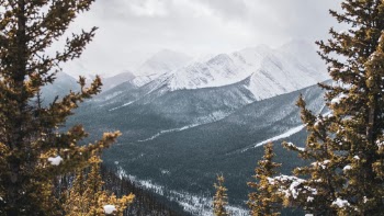 Unsplash ID lVjkeuHHOfg