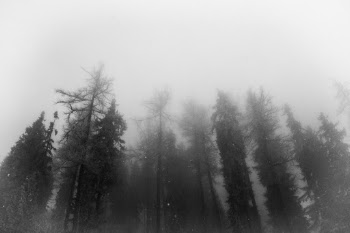 Unsplash ID lVpEY1BOTuM