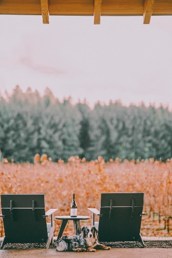 Unsplash ID lwa9Acg3aB8