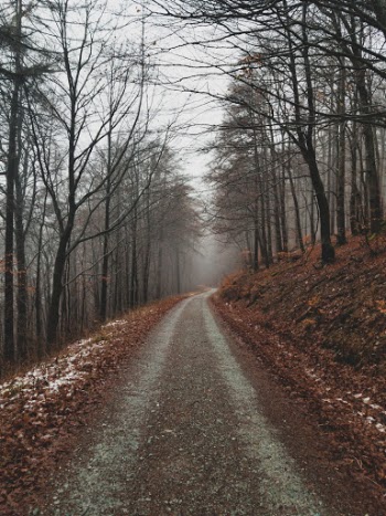 Unsplash ID LyTA5vR2rQI