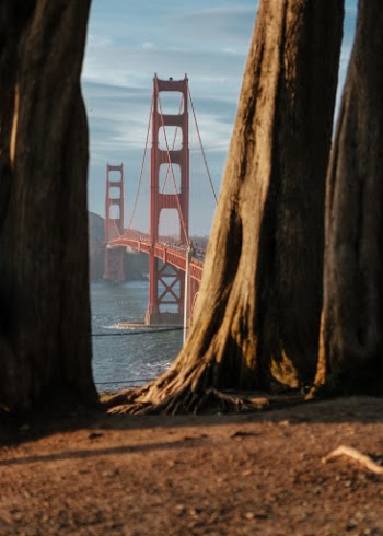 Unsplash ID Lz1cNHcQOVc