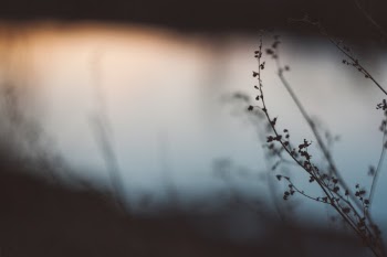 Unsplash ID LZ5j23_CeZc