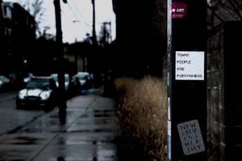 Unsplash ID LzmfkiwO7cc
