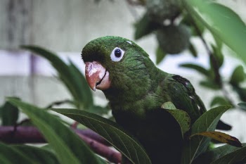 Unsplash ID M0_yupMxTzg
