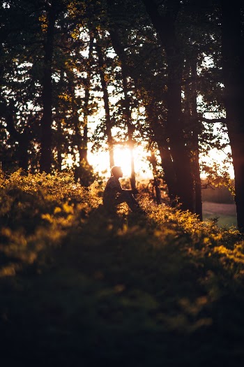 Unsplash ID M3PX8mUiHA4