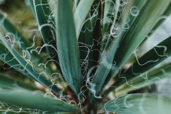 Unsplash ID M5gx3Xukdl0