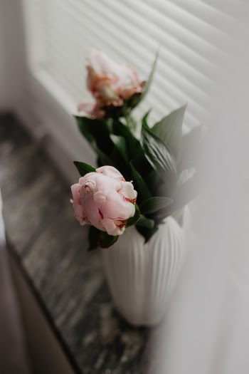Unsplash ID M7ZOiyVbtlE
