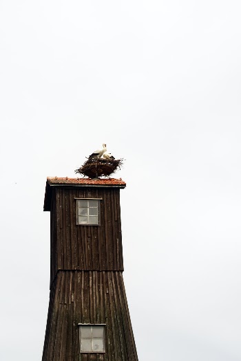 Unsplash ID m9nlre7iSbo