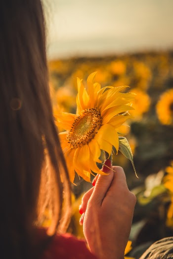 Unsplash ID MafaEt-ncUU