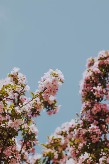 Unsplash ID MbiqrQv1vdU