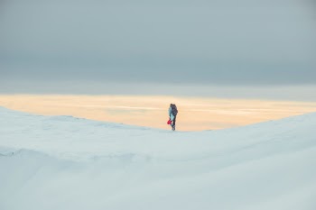 Unsplash ID MBUSLVSONw8