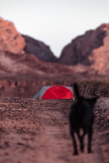 Unsplash ID mcjpMVnI1y4