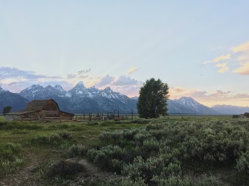 Unsplash ID md_-1_CikOU
