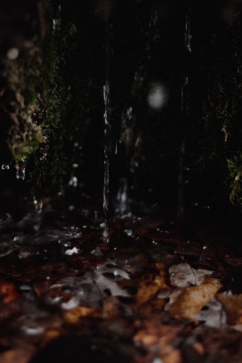 Unsplash ID md6agtjzUJ8