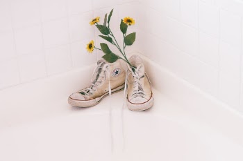 Unsplash ID MdZFPwlWMYs