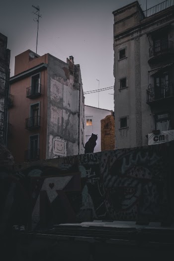 Unsplash ID me9OMNmmu1g