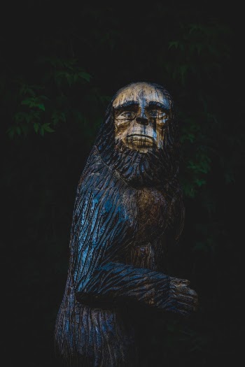 Unsplash ID MeZqh3NdI9Q