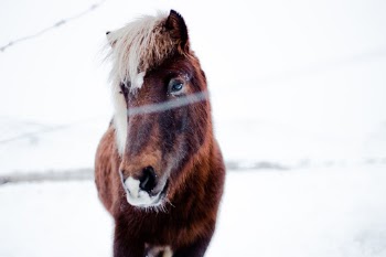 Unsplash ID mFkhqZFo8mw