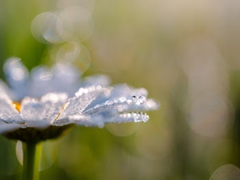 Unsplash ID MhF6Tw8IhrU