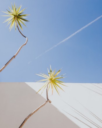 Unsplash ID mHR9GXHWwjI