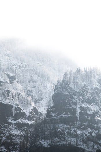 Unsplash ID MIkapMPZn-U